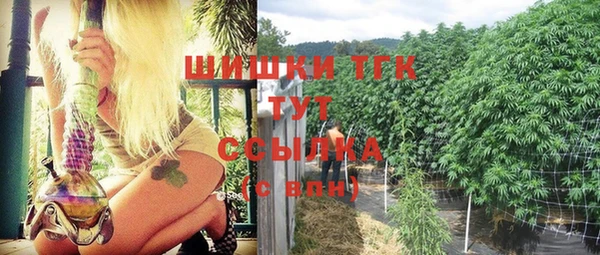 первитин Козельск
