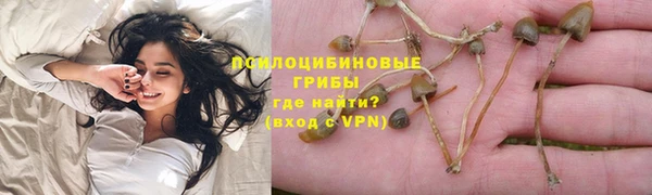а пвп мука Кодинск
