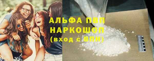 крисы Коряжма