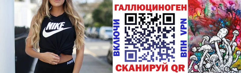 Псилоцибиновые грибы Cubensis  Купить закладки  Кировград 